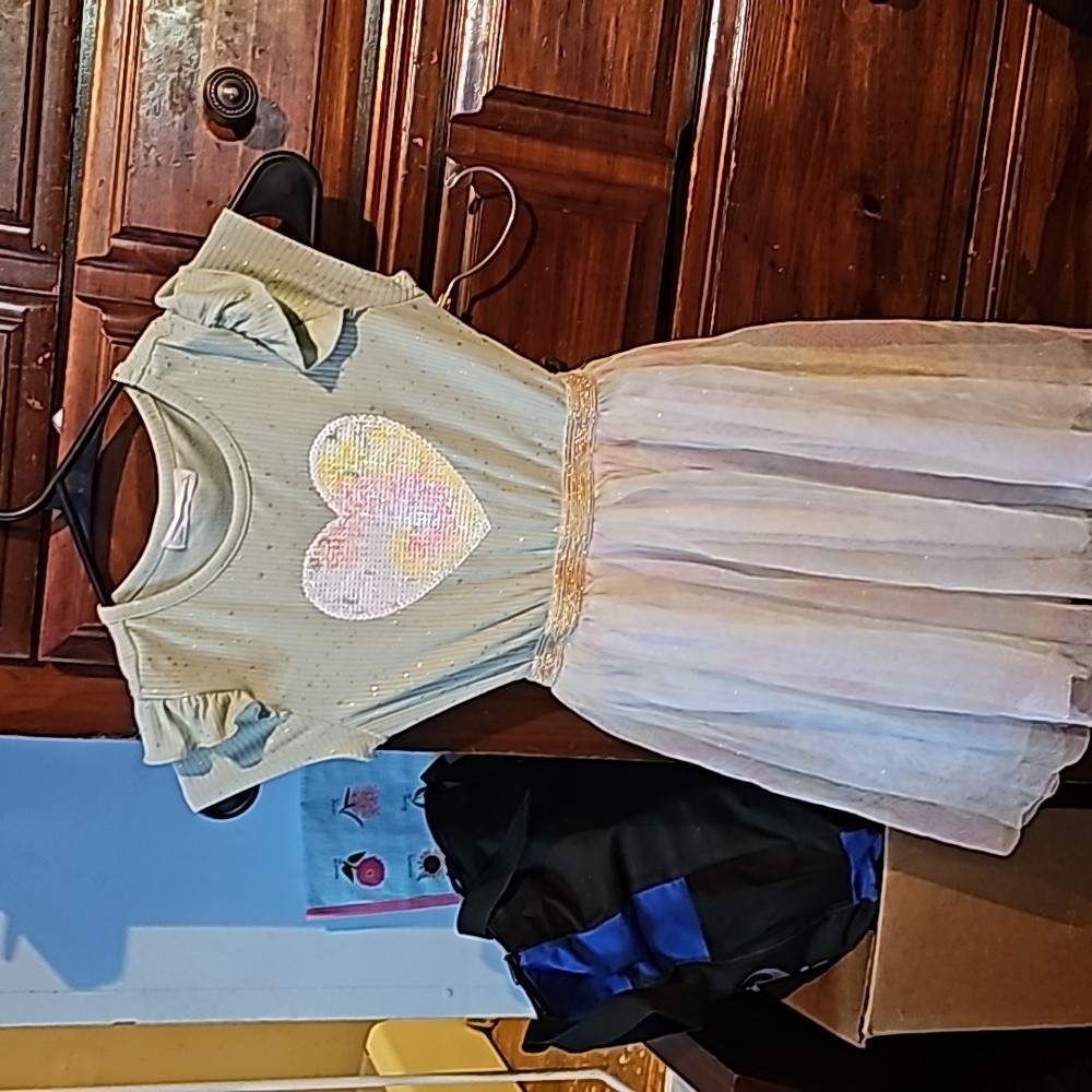 !!.                     Girls 6X dress